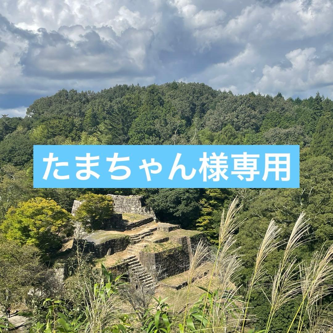 たまちゃんページ