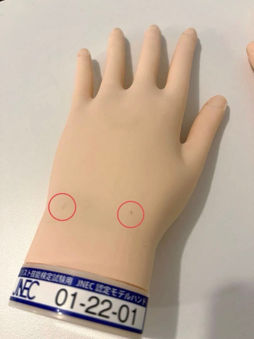 JNEC ネイリスト技能検定試験用 認定モデルハンド　使用1度のみ 骨折なし