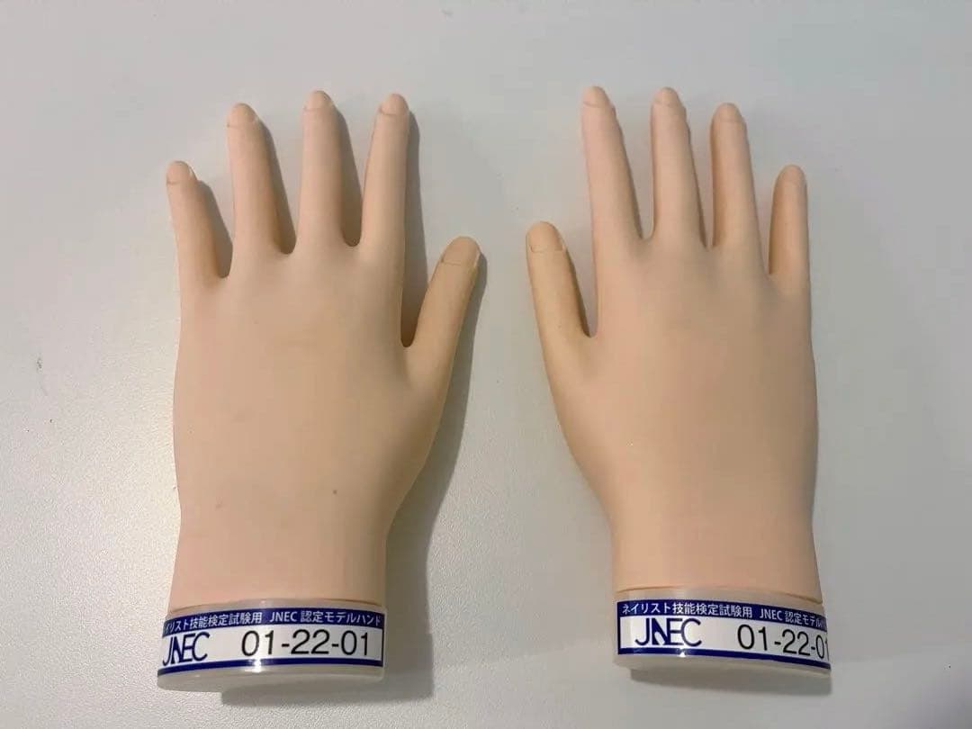 JNEC ネイリスト技能検定試験用 認定モデルハンド　使用1度のみ 骨折なし