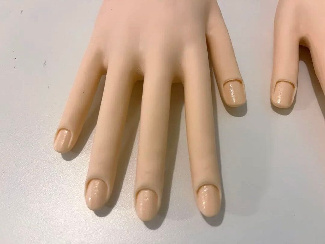 JNEC ネイリスト技能検定試験用 認定モデルハンド　使用1度のみ 骨折なし