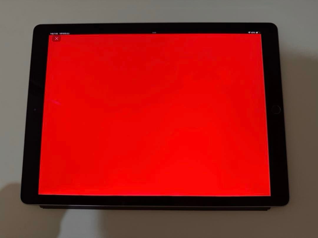 iPad Pro 12.9インチ 第2世代 Wi-Fiモデル 256GB