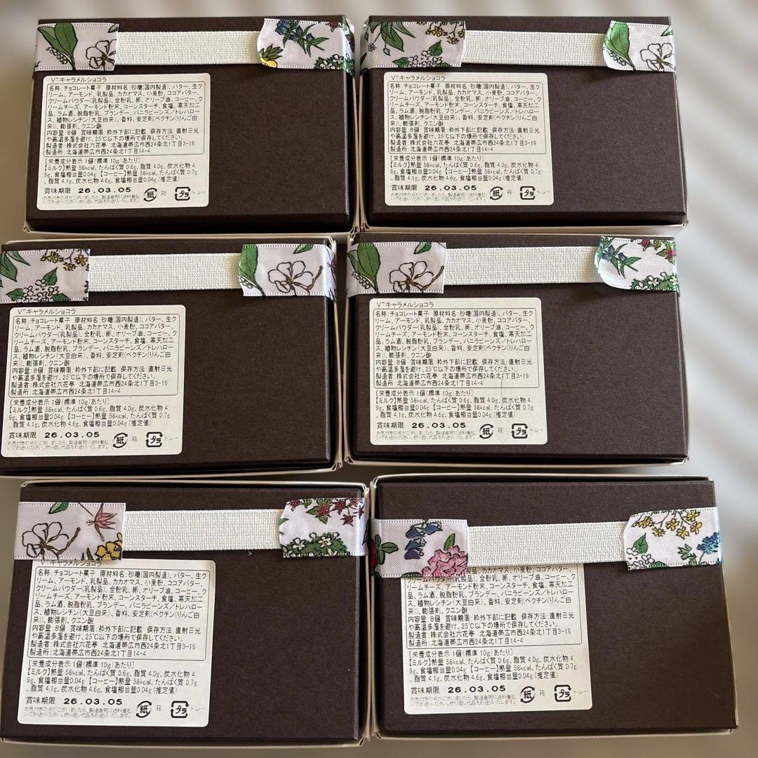 北海道限定‼️六花亭バレンタイン限定‼️キャラメルショコ 雪の大地