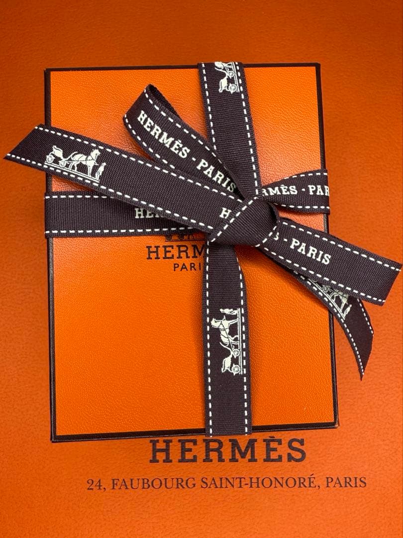 HERMES エルメス シェーヌダンクル アミュレット　ネックレス