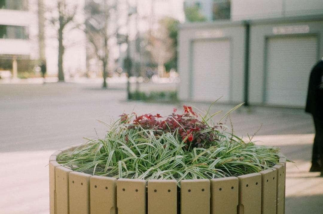 実写確認済セット Leica Ⅲc + NIKKOR HC 5cm F2