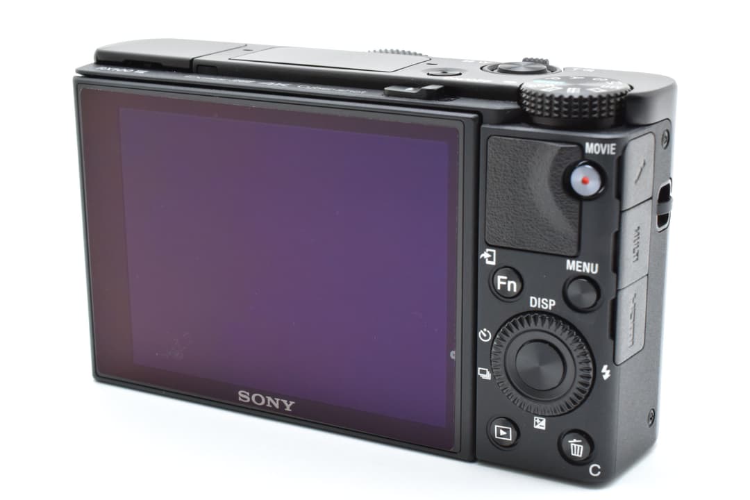 ソニー Cyber-shot DSC-RX100M7 VII #C447