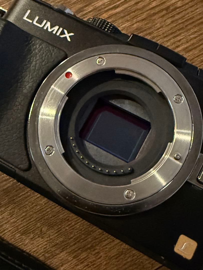 LUMIX GX1 デジタルカメラ 本体と充電器