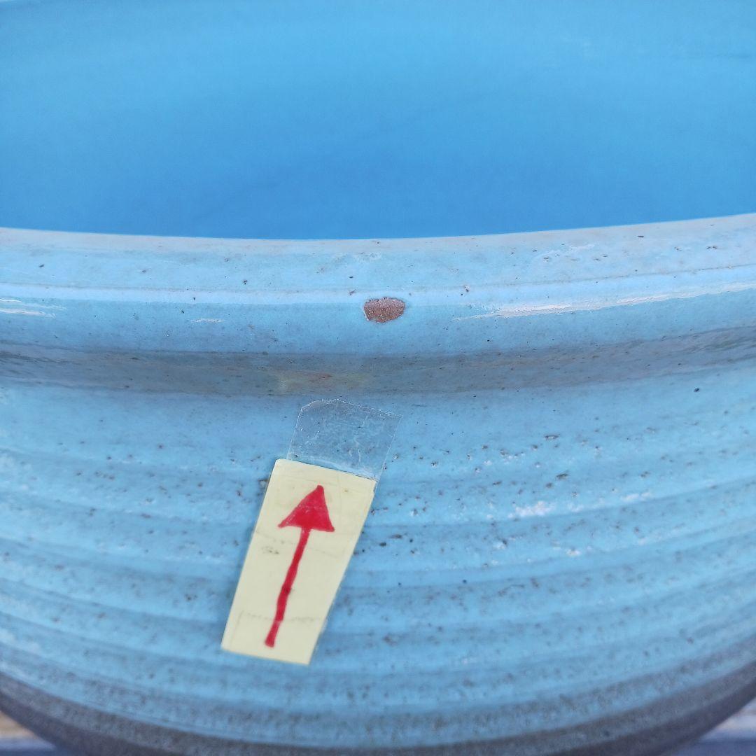 新品　特大50　陶器　睡蓮鉢　メダカ鉢　難有　ラリマーブルー　スカイブルーLWC