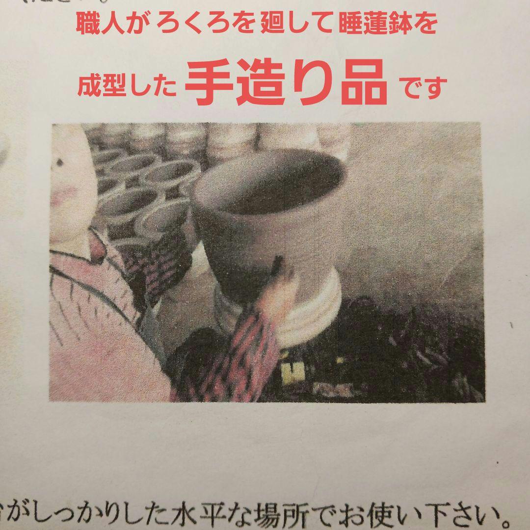 新品　特大50　陶器　睡蓮鉢　メダカ鉢　難有　ラリマーブルー　スカイブルーLWC