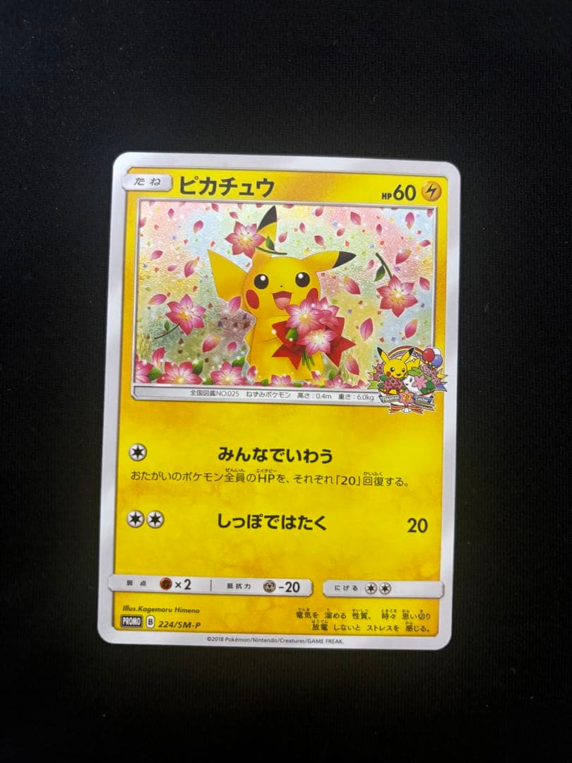 ピカチュウ：ポケモンセンター20周年記念キャンペーン PROMO みんなでいわう