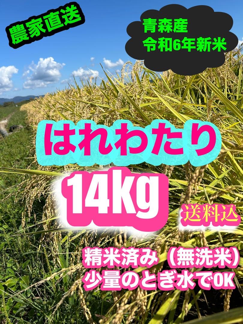 青森県産 はれわたり 令和6年産（精米済み）14kg送料込み