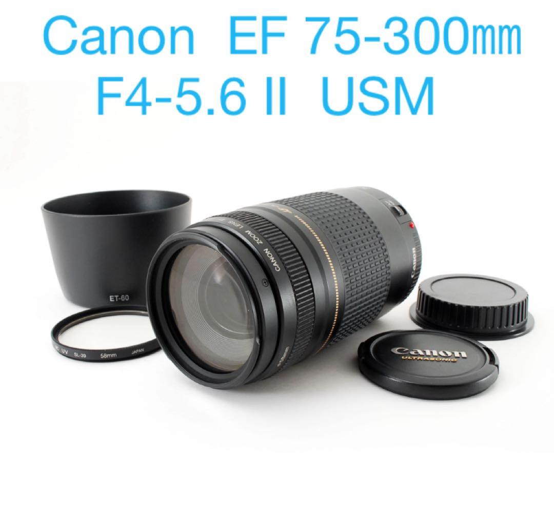 ☆人気の望遠レンズ☆イベント☆スポーツ☆Canon EF75-300㎜