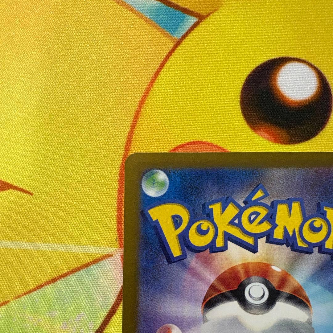 【美品】ゼイユ　SAR