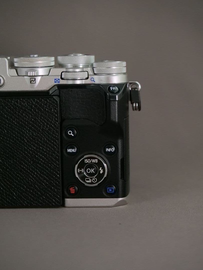 おまけ多数】OLYMPUS PEN-F シャッター回数少 充電池4個 革ケース