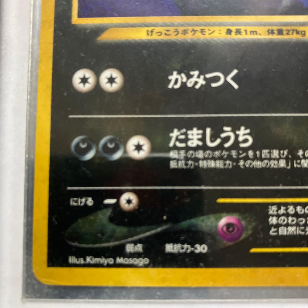 ブラッキー No.197 HP80