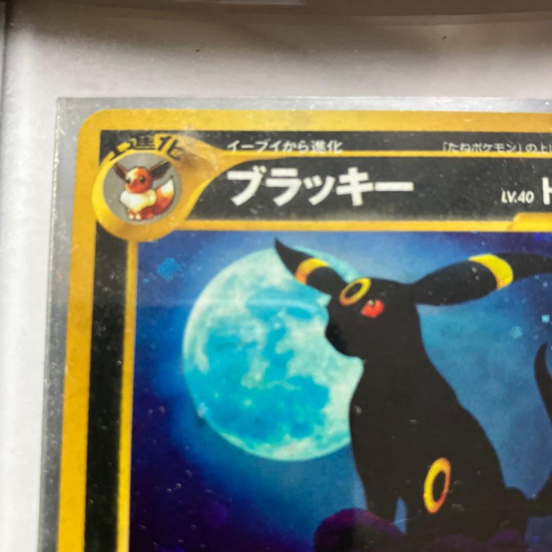 ブラッキー No.197 HP80