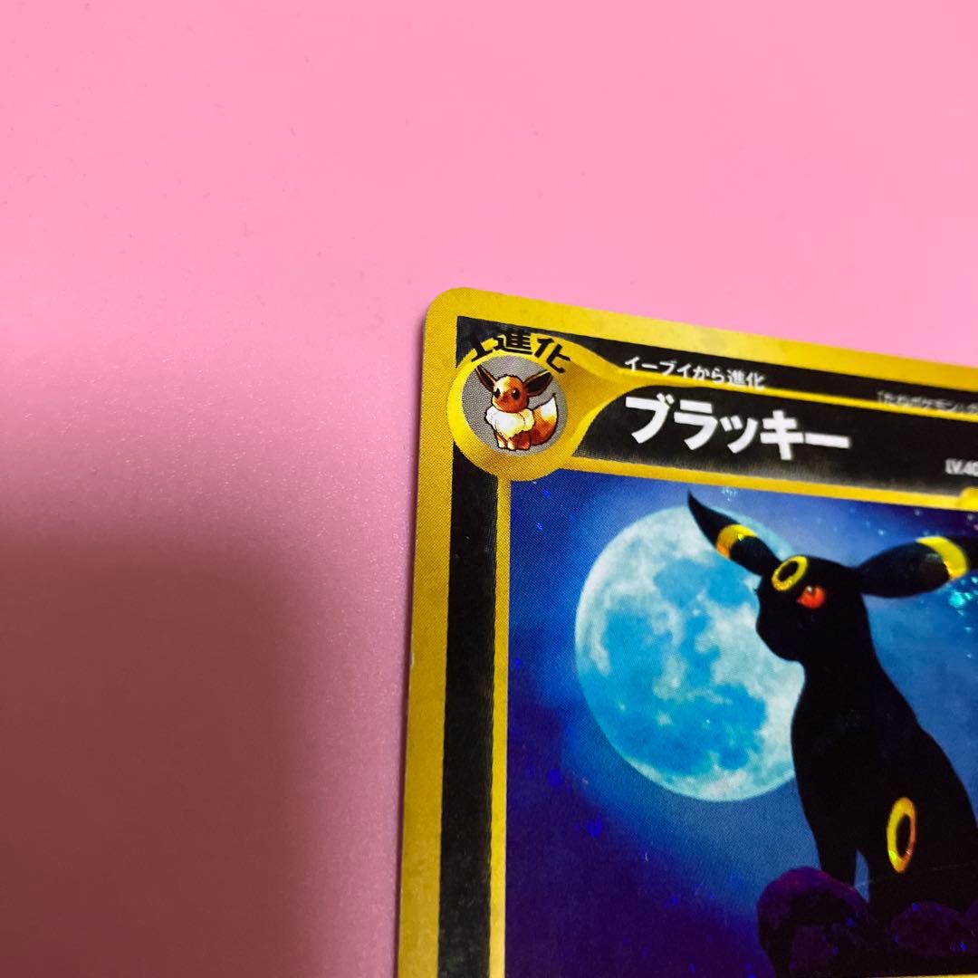 ブラッキー No.197 HP80