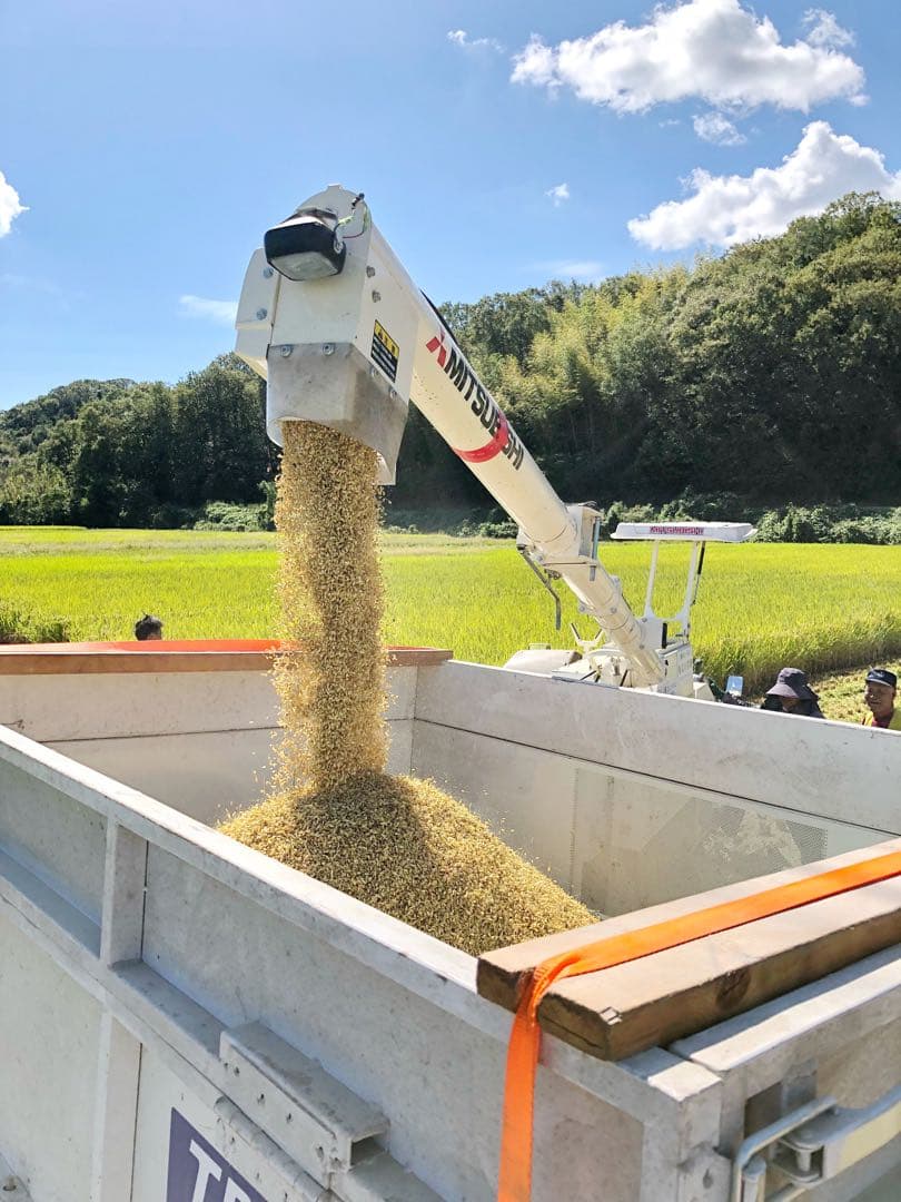 農家直送の美味しいお米 令和7年度産 ヒノヒカリ 10キロ