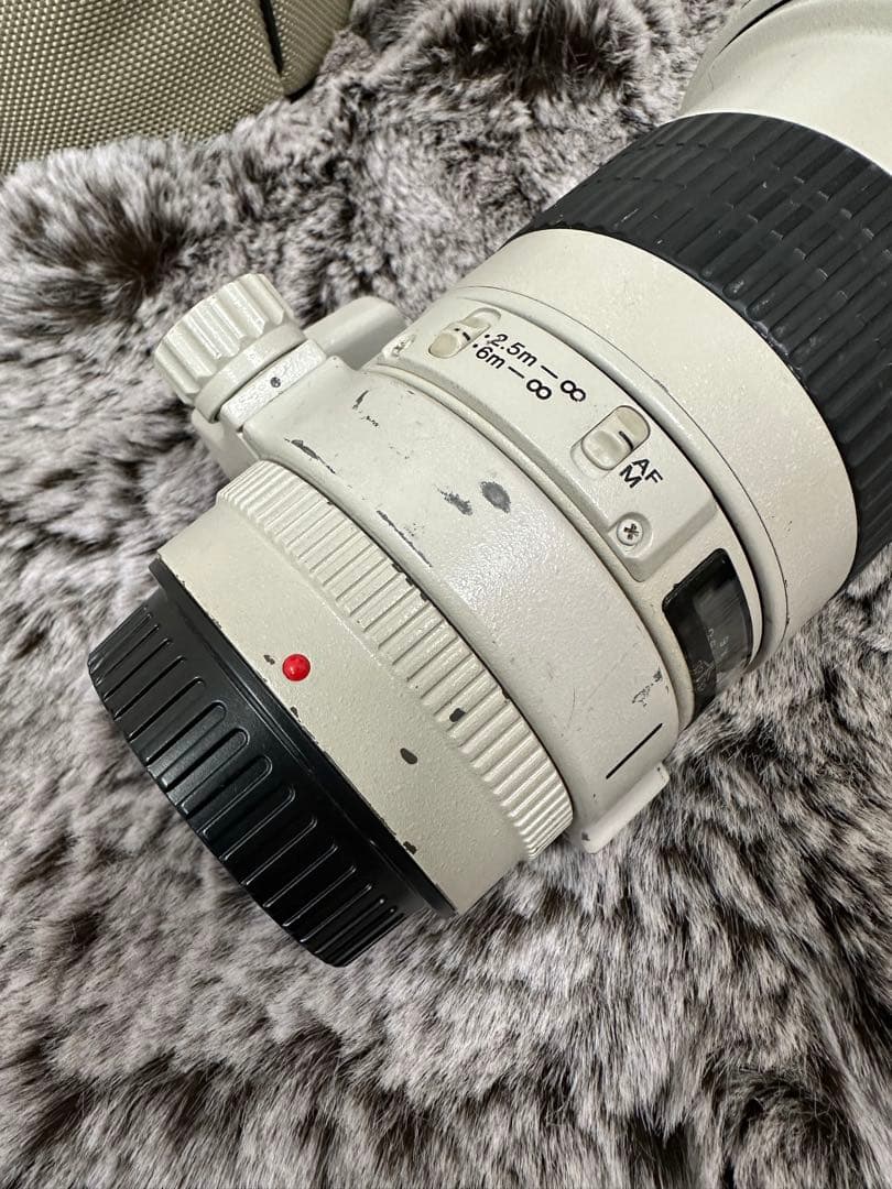 Canon EF 300mm f/4 L USM レンズ　単焦点