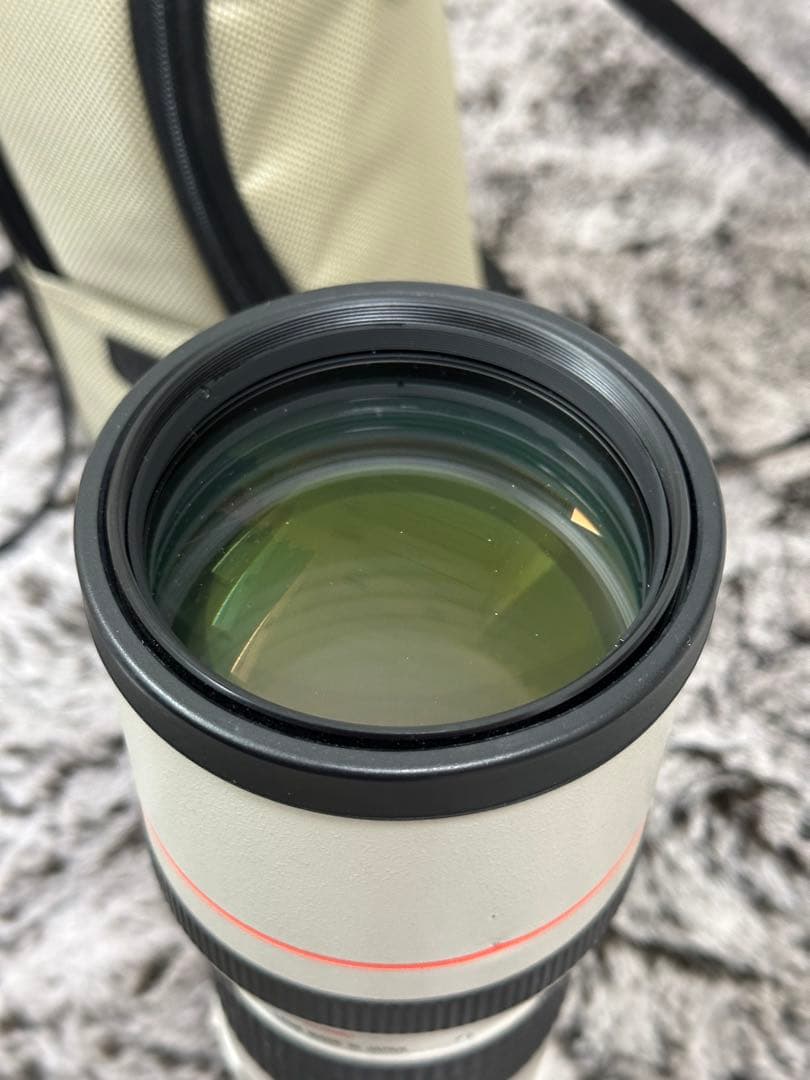 Canon EF 300mm f/4 L USM レンズ　単焦点