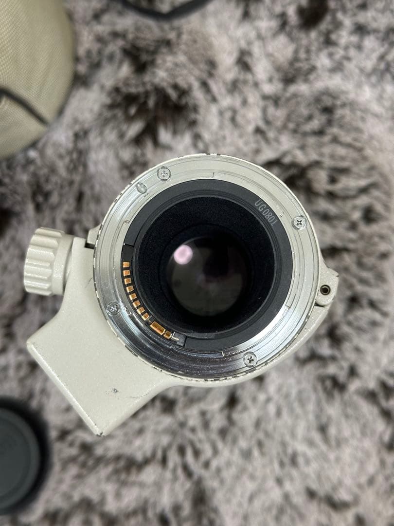 Canon EF 300mm f/4 L USM レンズ　単焦点