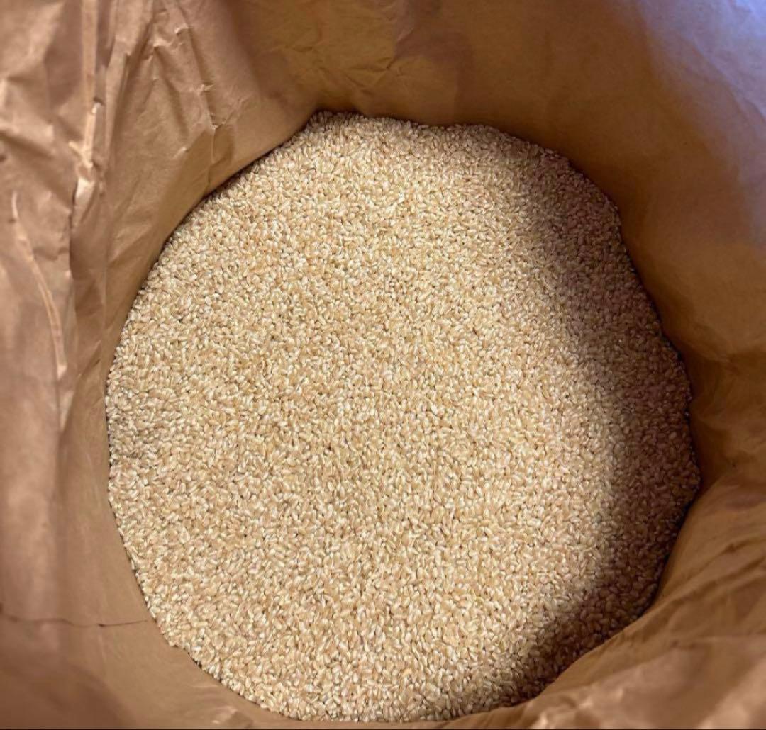 福島県産玄米コシヒカリ 30Kg 農家直送　令和6年度