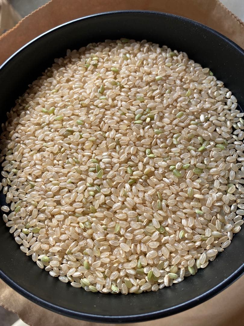 令和7年　つきあかり　上白に精米