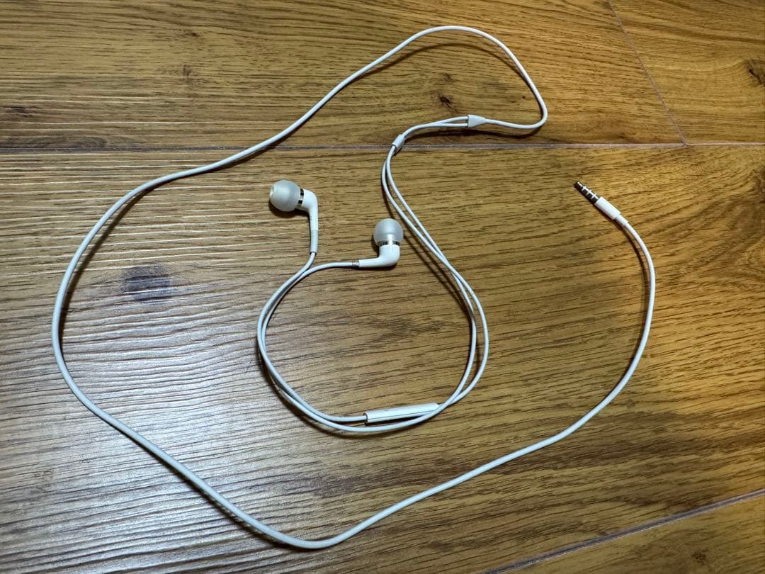 Apple純正 In-Ear Headphones MA850G/B