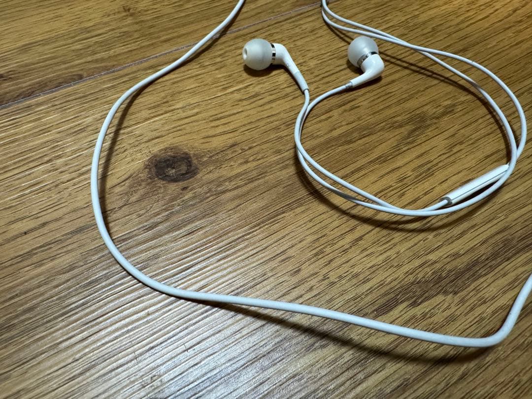 Apple純正 In-Ear Headphones MA850G/B