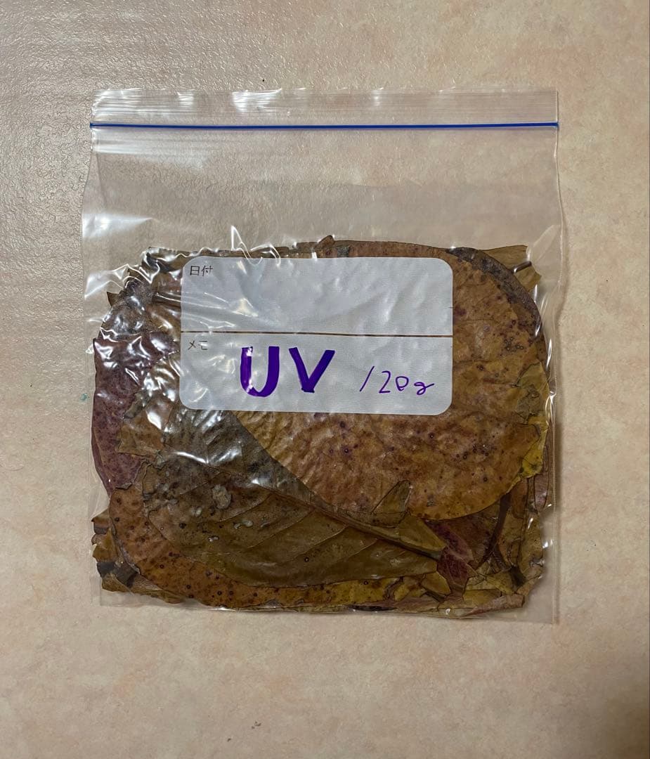 沖縄県やんばる産マジックリーフ 1kg UV殺菌灯照射済み①