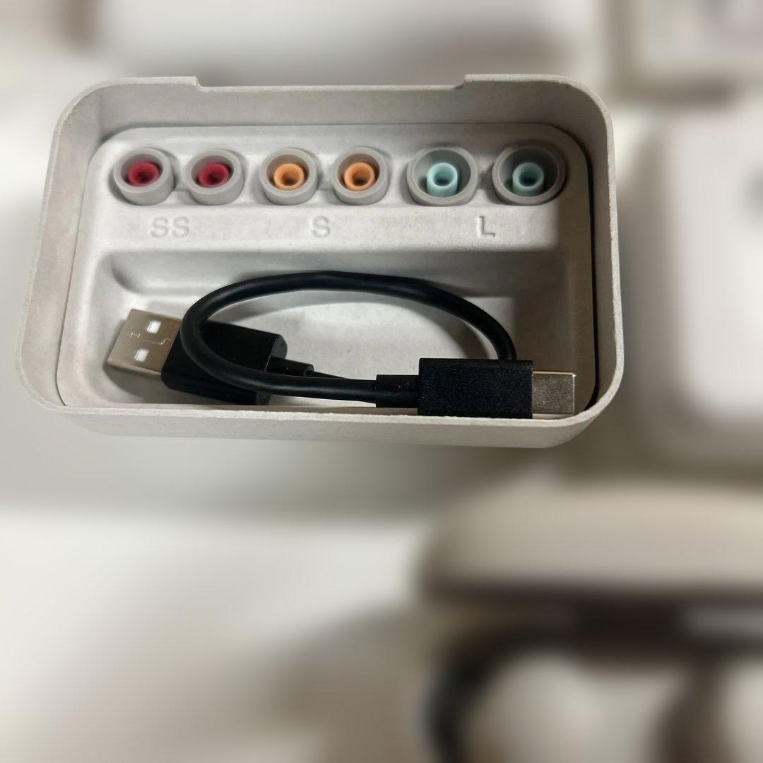 【２５年１１月下旬購入】SONY WF-1000XM5 ワイヤレスイヤホン