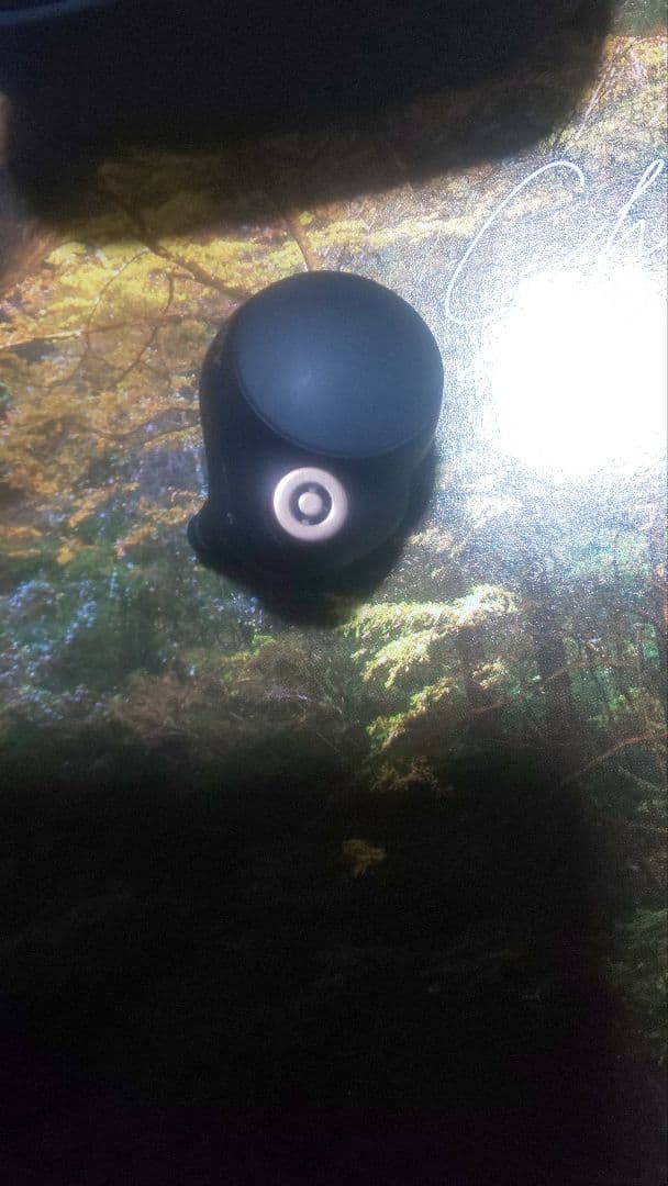 年始限定価格　ケース イヤホン両方バッテリー新品交換　wf-1000xm4おまけ