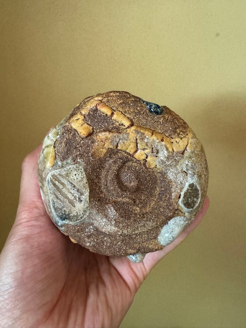 氏家昴大　黄瀬戸　湯呑　現代アート