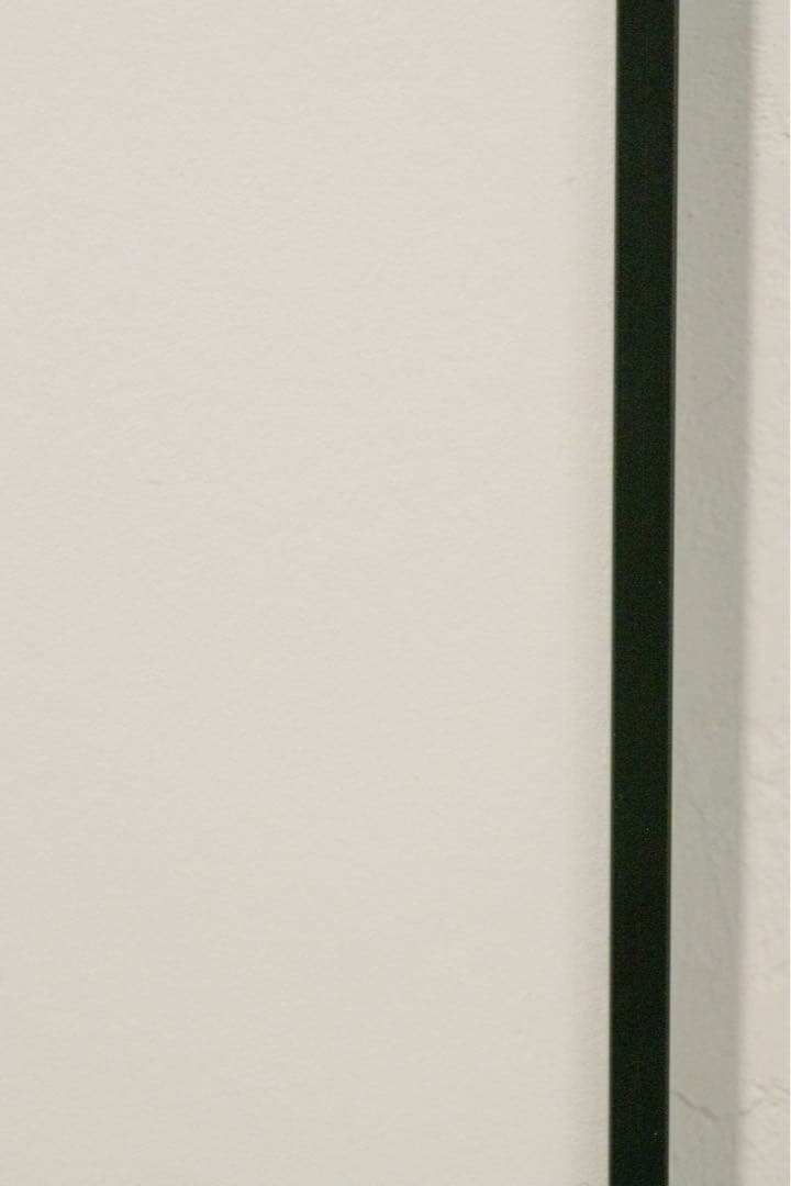 LUMIX S 24-105mm F4ズームレンズ S-R24105