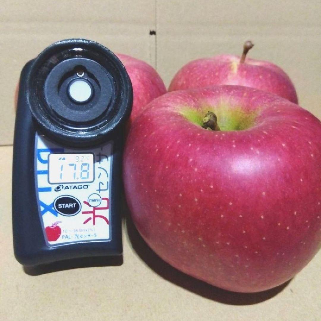 美丘10k 希少　じぃじの美味しい林檎