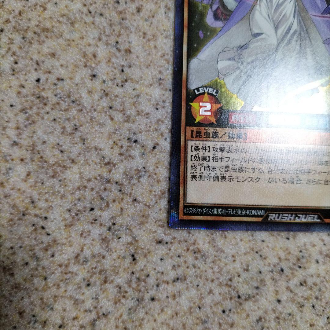 遊戯王　ラッシュデュエル　夢中のパピヨン　シークレット