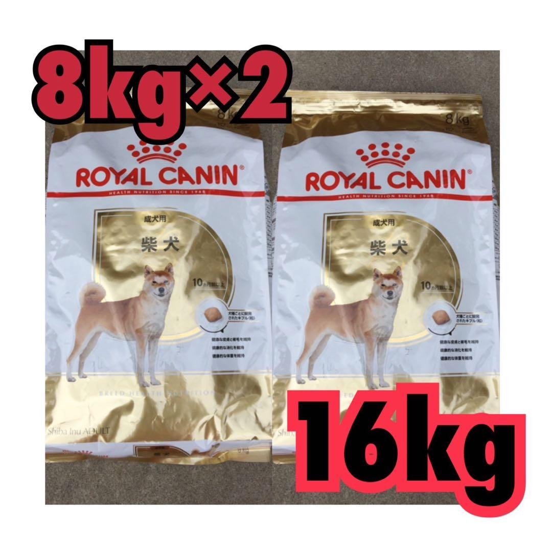 ロイヤルカナン 柴犬 成犬用 8kg×2袋セット