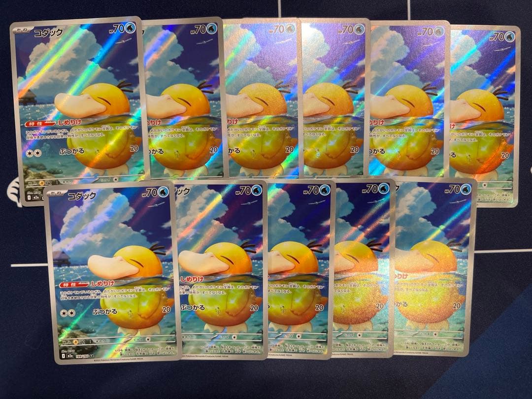 コダック　ar 11枚