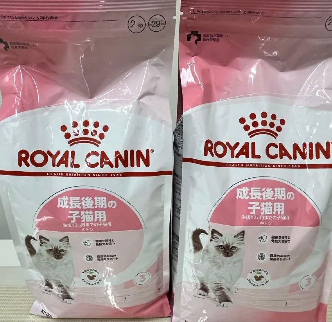 ロイヤルカナン　キトン　成長後期の子猫用　2kg×2袋