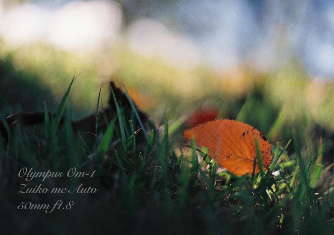 ★完動品＊美品★OM-1/zuiko f1.8★初期保証＊作例多数！