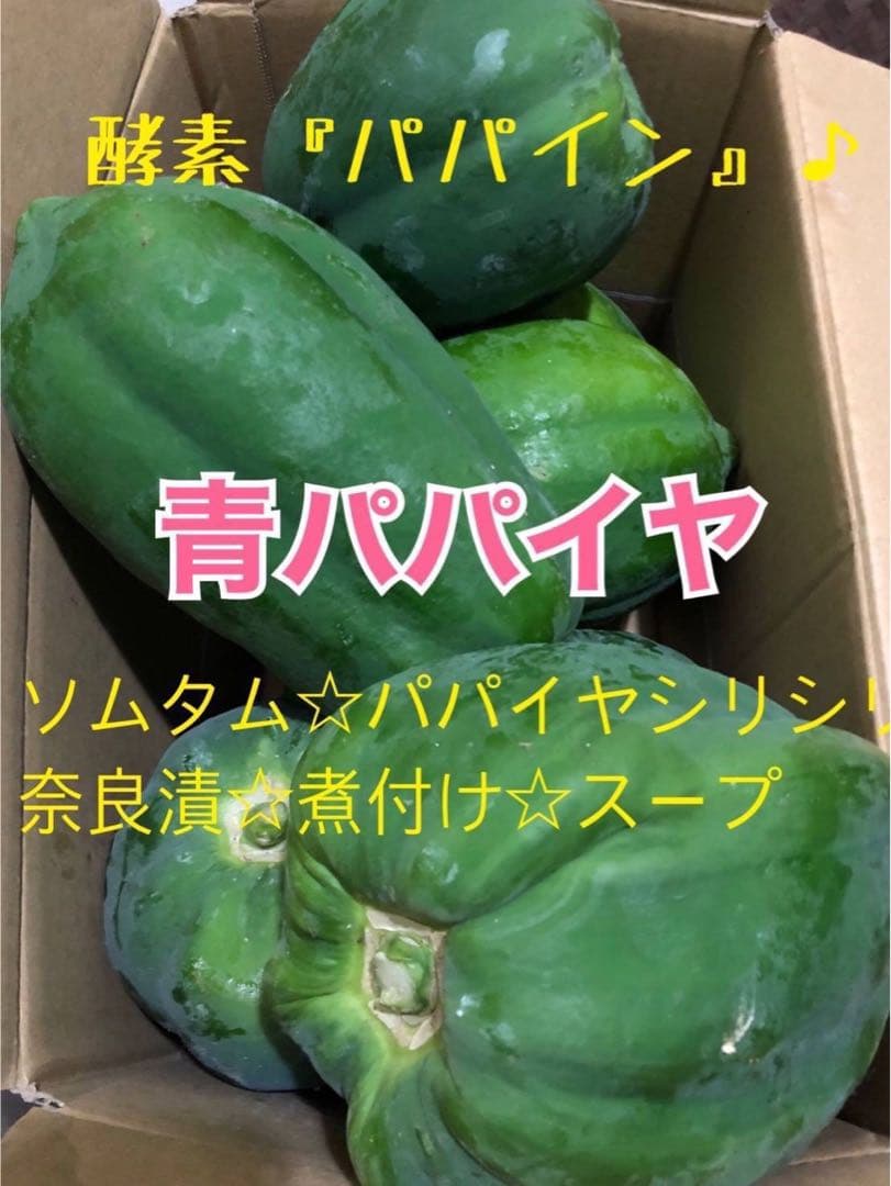 新鮮青パパイヤ箱込み20キロ