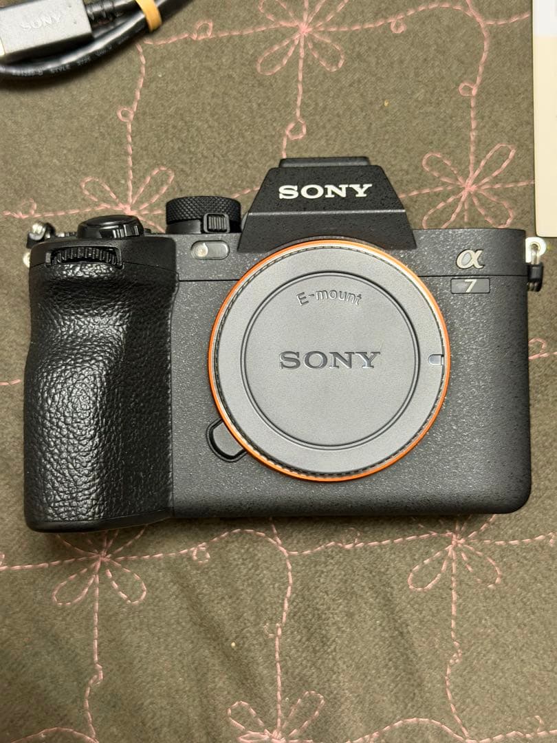 Sony α7Ⅳ ショット数約6240枚
