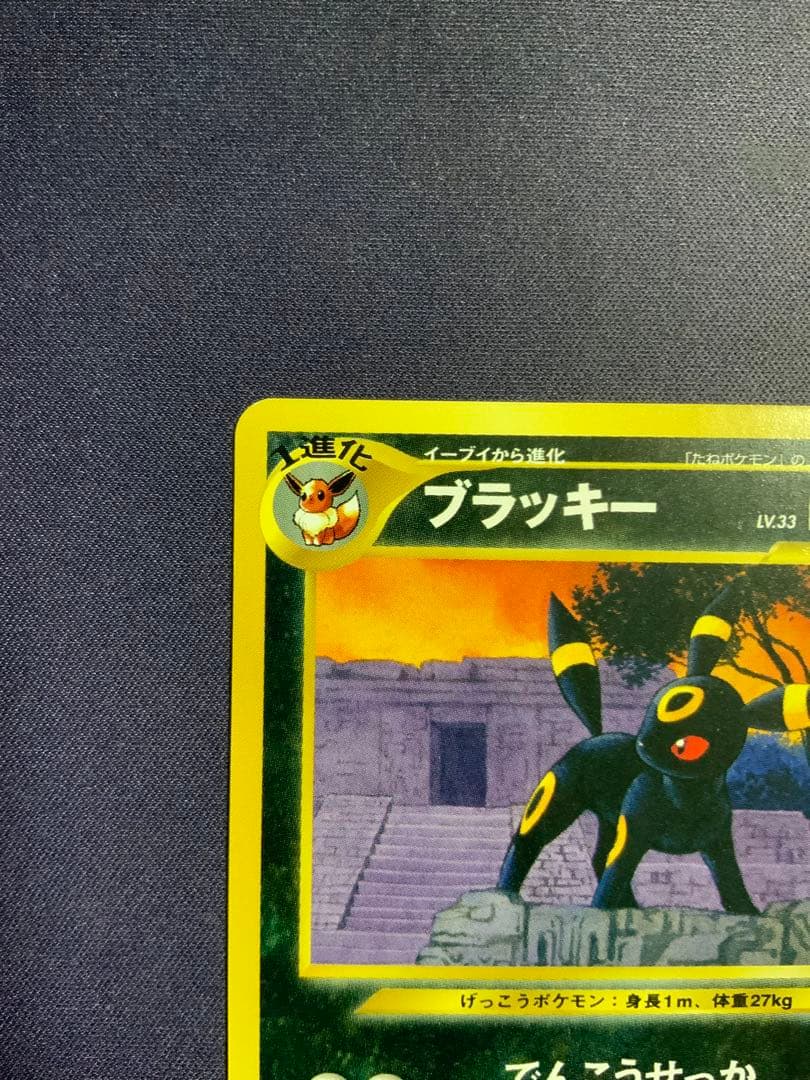 ブラッキー 旧裏 ポケモンカード プロモ プレミアムファイル2 197