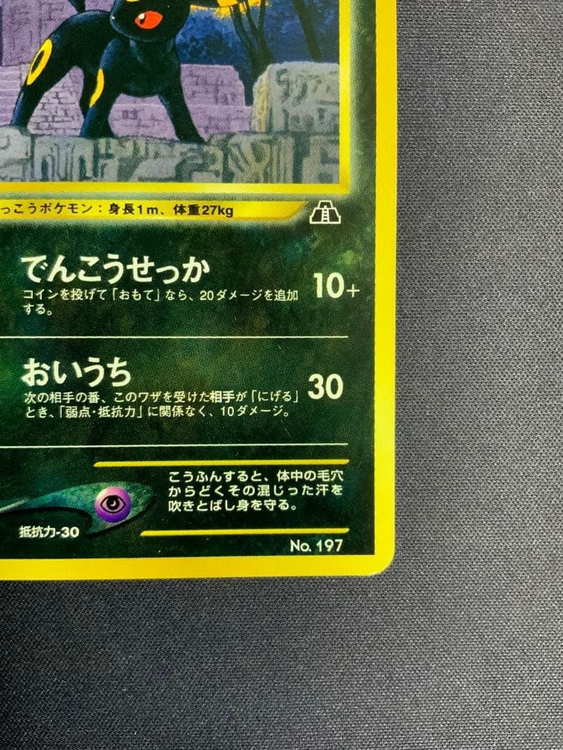 ブラッキー 旧裏 ポケモンカード プロモ プレミアムファイル2 197