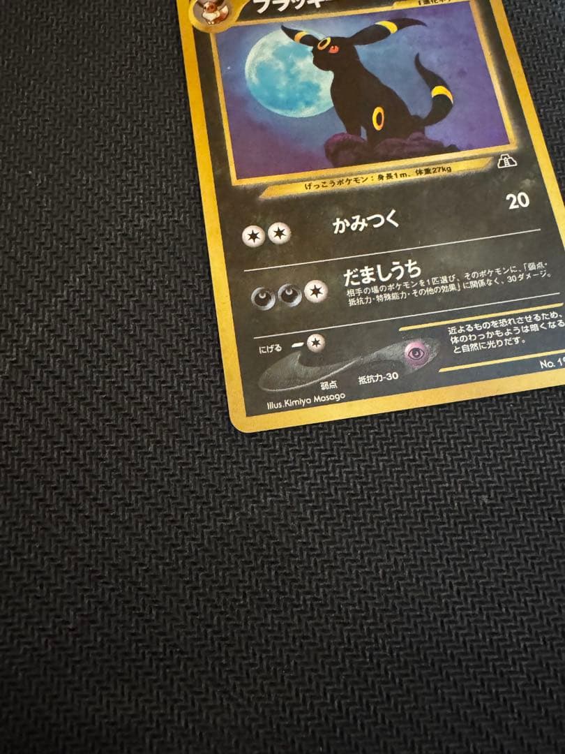 ブラッキー　遺跡をこえて