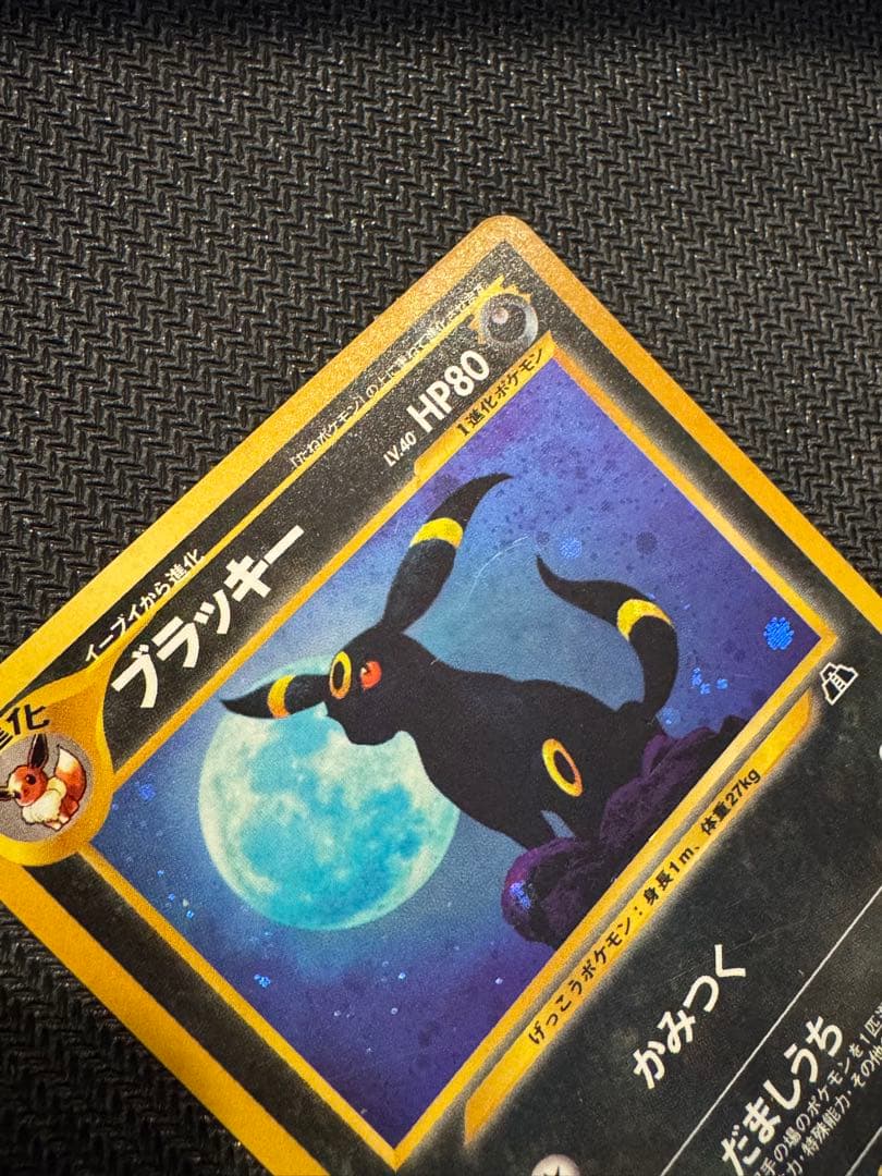 ブラッキー　遺跡をこえて