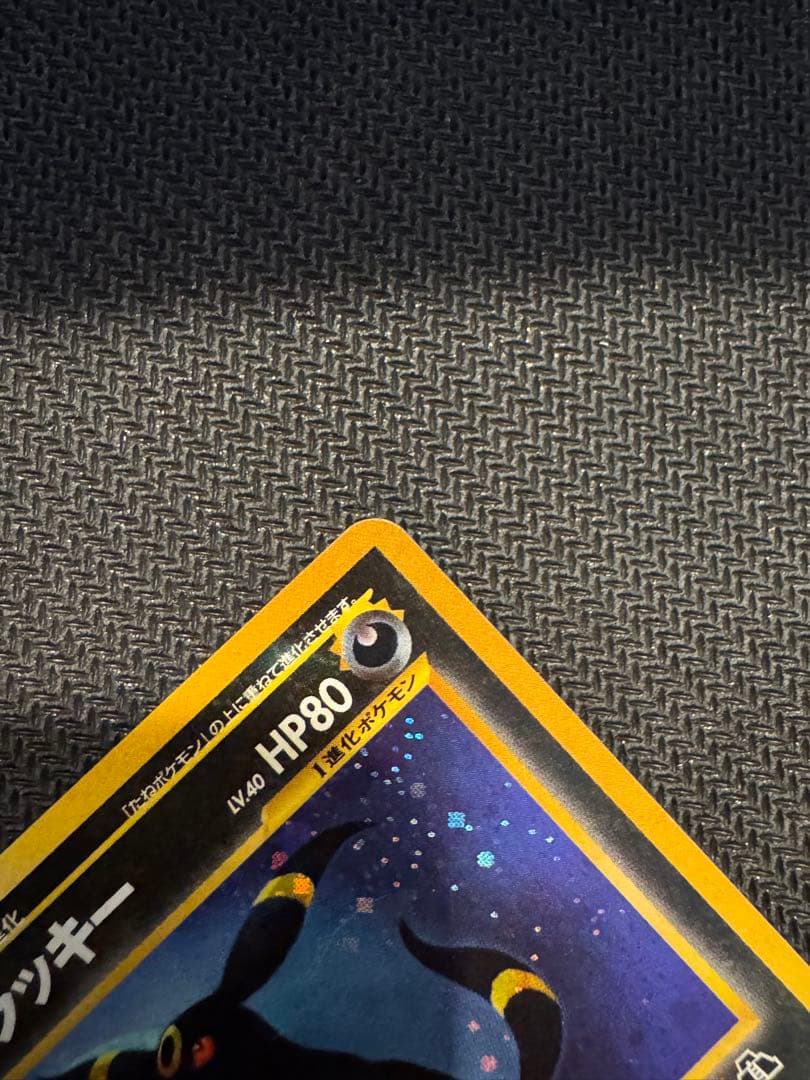 ブラッキー　遺跡をこえて