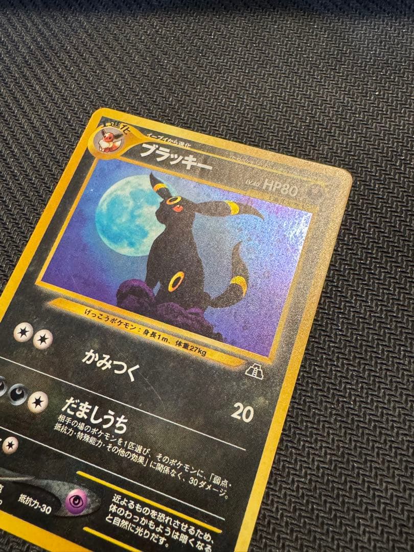 ブラッキー　遺跡をこえて