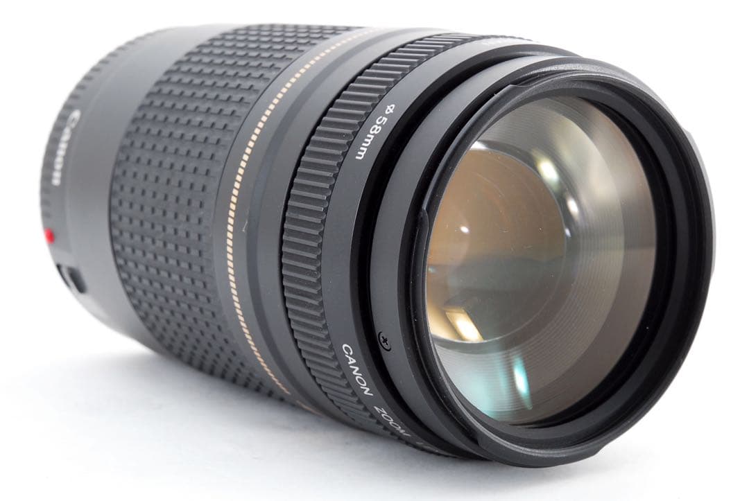 ☆純正☆大望遠レンズ☆キャノン　Canon EF75-300 USM