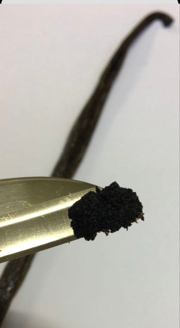 新入荷‼︎ バニラビーンズ　パプアニューギニア産Aグレード　16cm以上 1kg