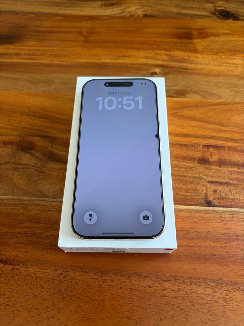 Apple iPhone 16Pro 256gb SIMフリー 液晶漏れ